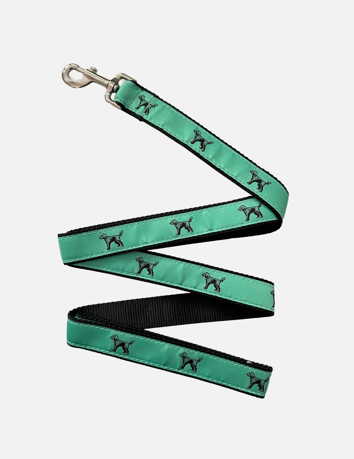 Standing Doodle Leash