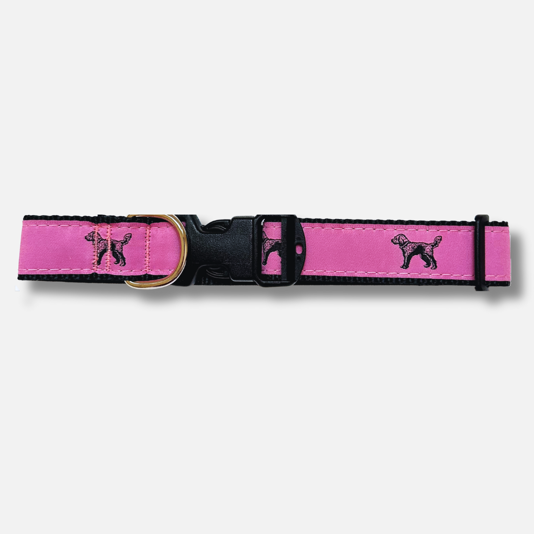 Standing Doodle Collar
