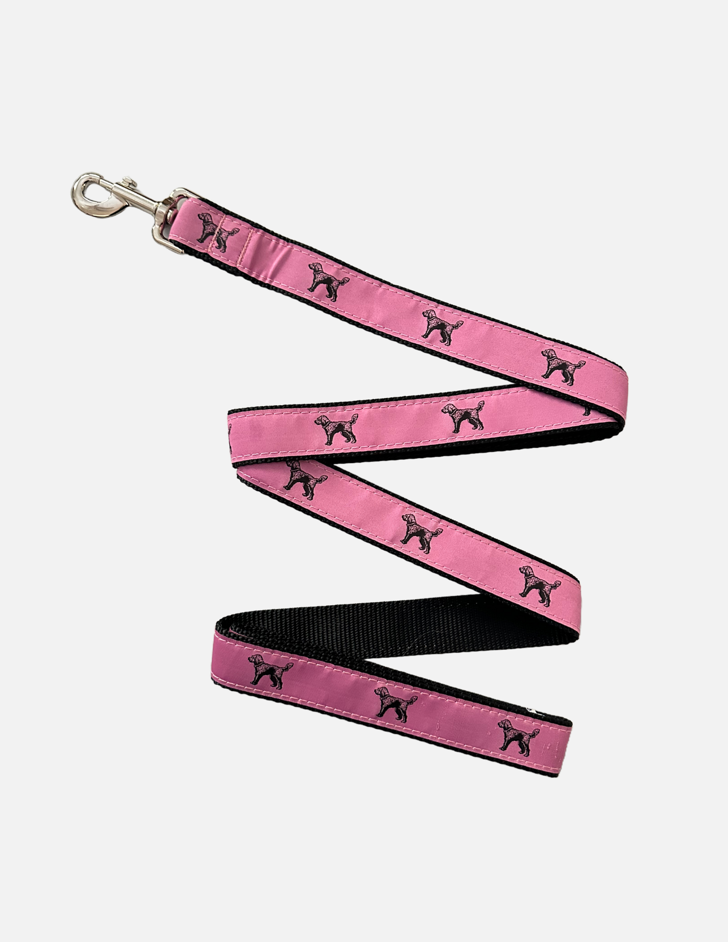 Standing Doodle Leash