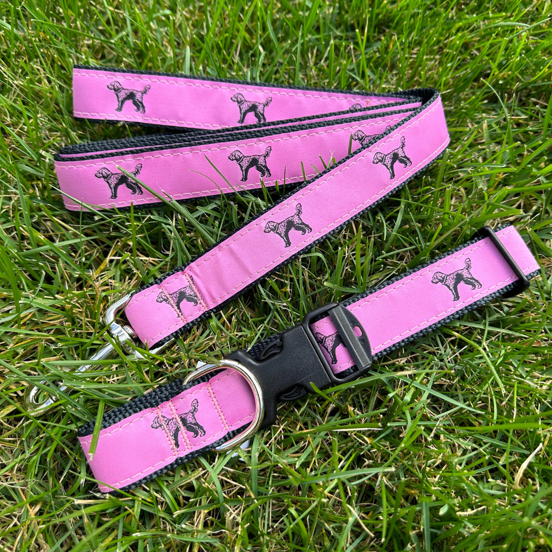 Standing Doodle Collar
