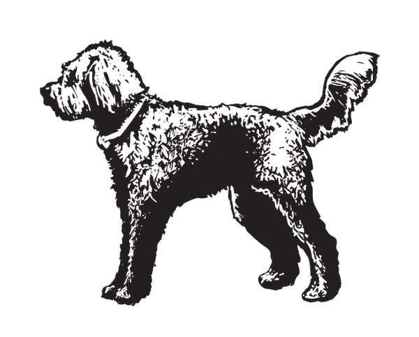 Doodle Dog Outfitters logo