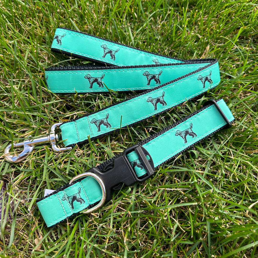 Standing Doodle Collar