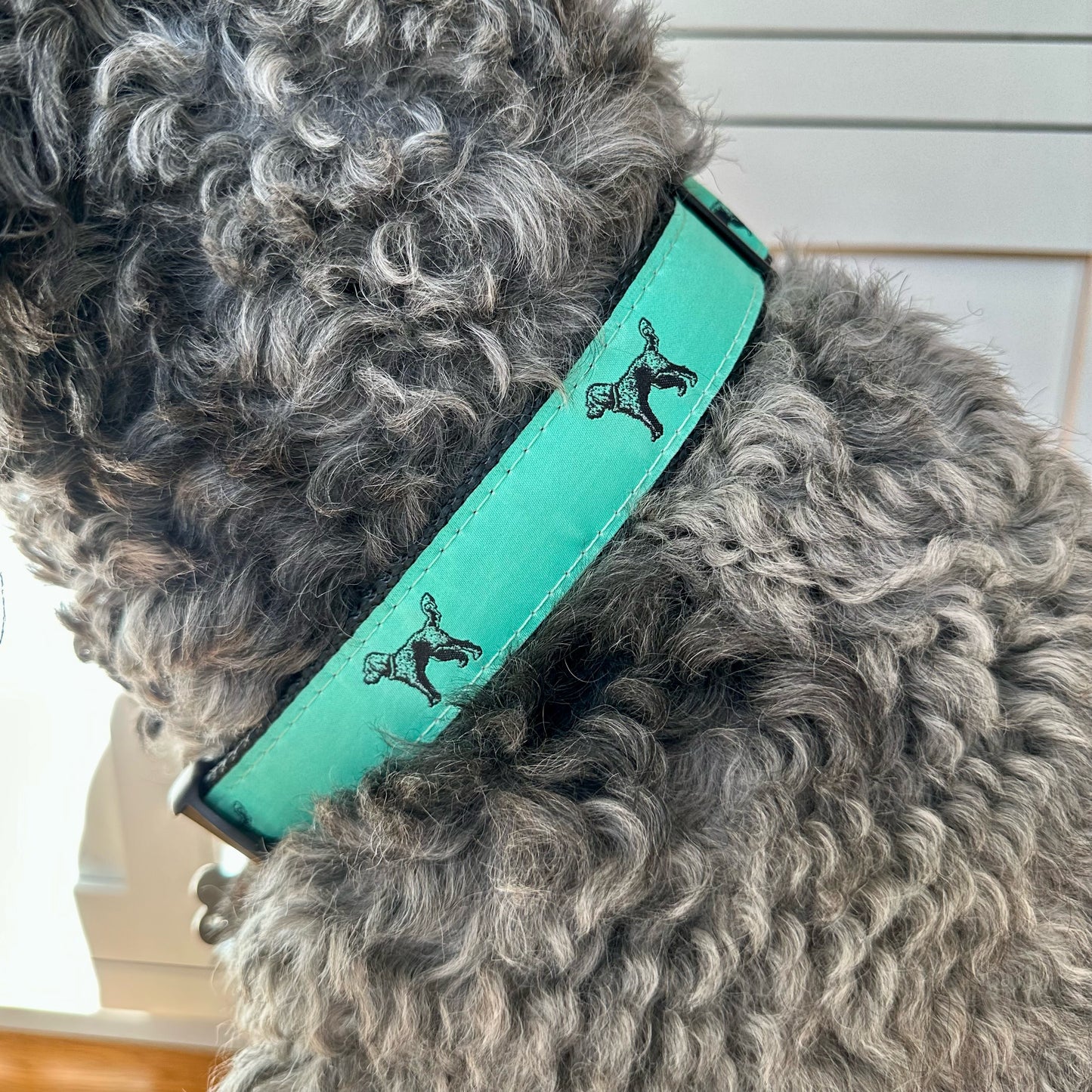 Standing Doodle Collar