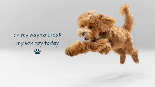Tough Toys That Will Survive Your Pup